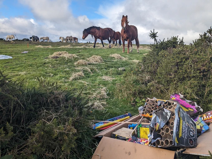 Some ponies on Gelligaer Common are in the background of the picture whilst near the camera there is a box of used fireworks.