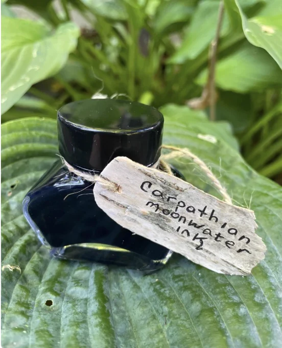a bottle of black ink on a green leaf