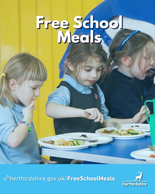 Students eating school lunches