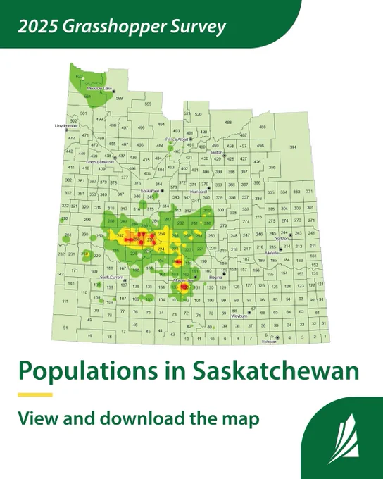 2025 Grasshopper Survey map graphic with the text “Populations in Saskatchewan” and “View and download the map” 