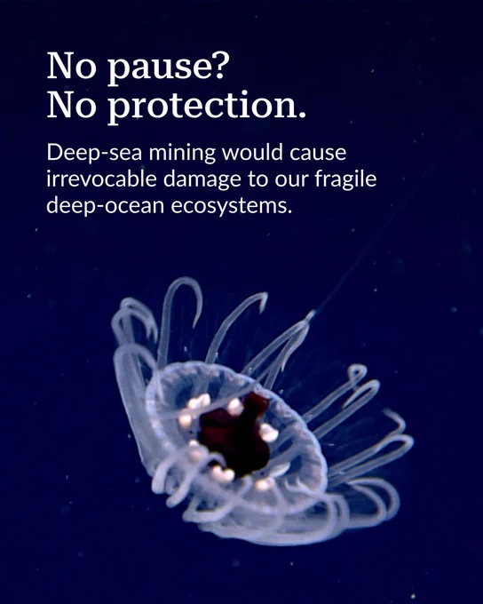 No pause? No protection. Deep-sea mining would cause irrevocable damage to our fragile deep-ocean ecosystems.