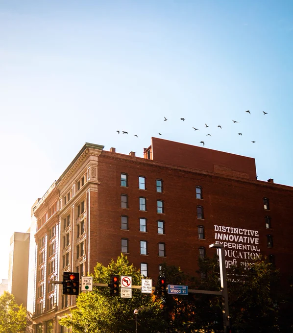 A sunlit view of Point Park University's campus with the side of the Boulevard Apartments building reading "Distinctive Innovative Experiential Education" and street sign for Wood St. above the road along with birds flying in a clear blue sky above Downtown Pittsburgh. 
Photo by Nathaniel Holzer '22