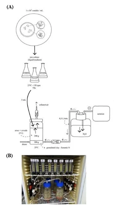 Methodology for solid-state fermentation of entomopathogenic fungi using the JKI-Solid Fermenter System at laboratory scale (A) and in operation (B)