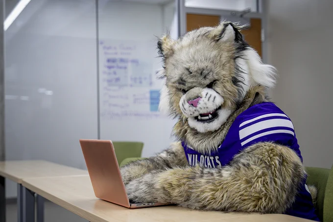 Waldo the Wildcat sits at a desk with a laptop and studies.