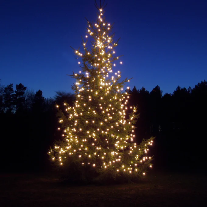 Christmas tree decorated with lights against the twilit sky.