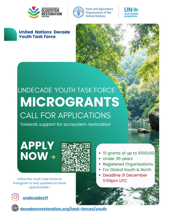 Flier with information on the UN Decade Youth Task Force Microgrants call for applications.