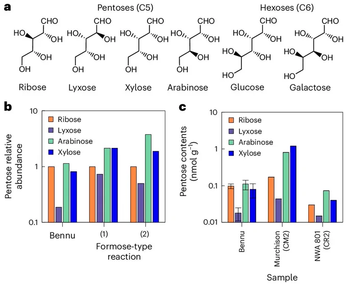 Structural formulae and plots showing the abundance in a sample of Bennu (plus some meteorites) of various types of sugars