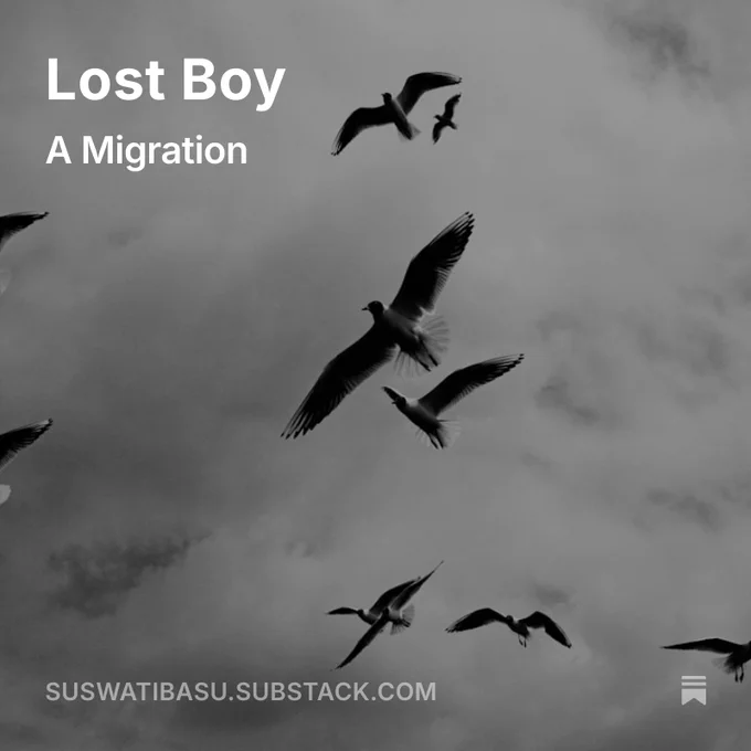A black-and-white image of several birds in mid-flight against a cloudy sky. The title “Lost Boy” and subtitle “A Migration” appear in bold white text at the top left. At the bottom, the text “SUSWATIBASU.SUBSTACK.COM” is displayed.