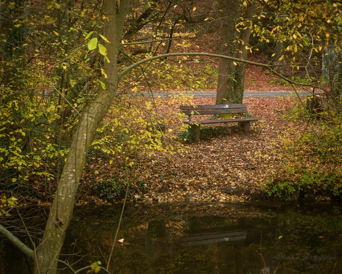 An empty wooden bench sits among fallen autumn leaves facing a small river that reflects the bench and surrounding trees.
—
Across the river’s fold,
An empty bench waits in gold.