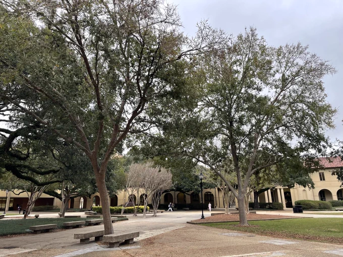 A view of lsu quad