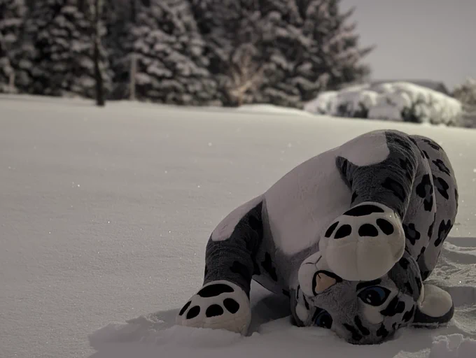 A plush snow leopard playing in the snow on their back