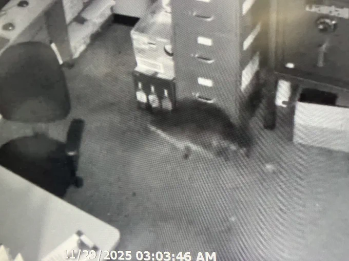 A still image of a raccoon walking through a backroom inside a Virginia ABC store in Ashland, Virginia.