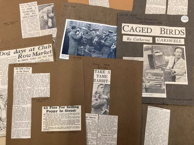 Newspaper cuttings relating to Club Row pet market.
