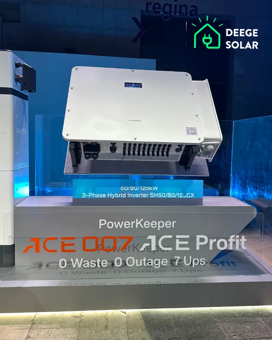 Sungrow Powerkeeper ACE 007