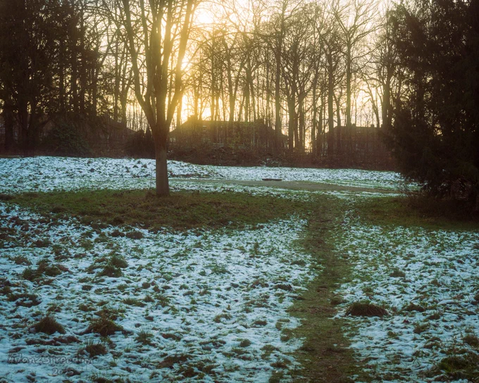 A serene moment where natural elements align—the snow avoiding the tree’s base, the path leading precisely to this delicate boundary, and the warm sunset sky framing the scene. The image invites reflection on subtle patterns and transitions in nature.
—
Snow steps back politely,  
Tree stands in warm surprise.