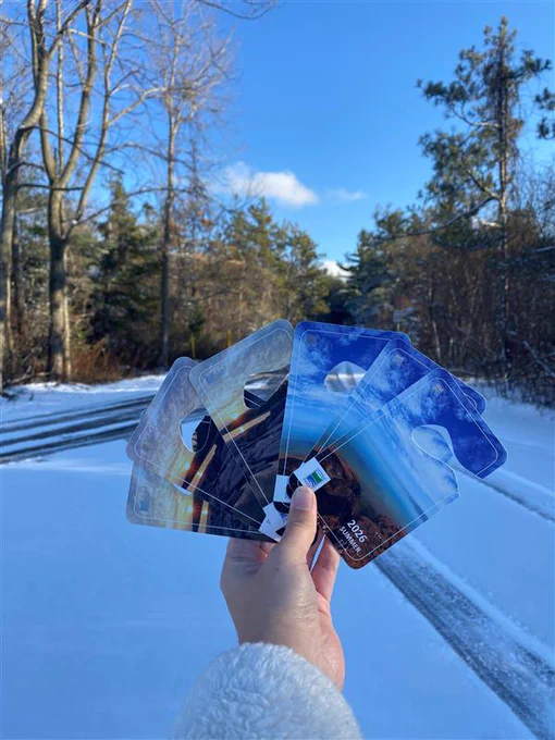 A person holding several 2026 park season passes with a snow-covered road and trees in the background.