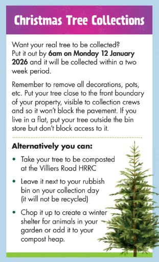 christmas trees collection