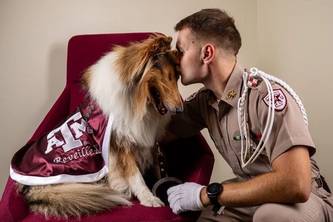 A person in a Texas A&M University cadet uniform is affectionately kissing a collie dog dressed in a Reveille mascot outfit.