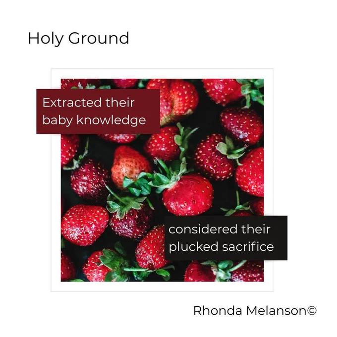 Photograph of picked strawberries. Text overlayed on photograph reads: Extracted their baby knowledge considered their plucked sacrifice. Top left text reads: Holy Ground. Bottom right text reads: Rhonda Melanson (c)
