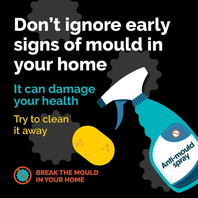 Damp and mould digital leaflet suggesting to clean mould away in your home by spotting the early signs