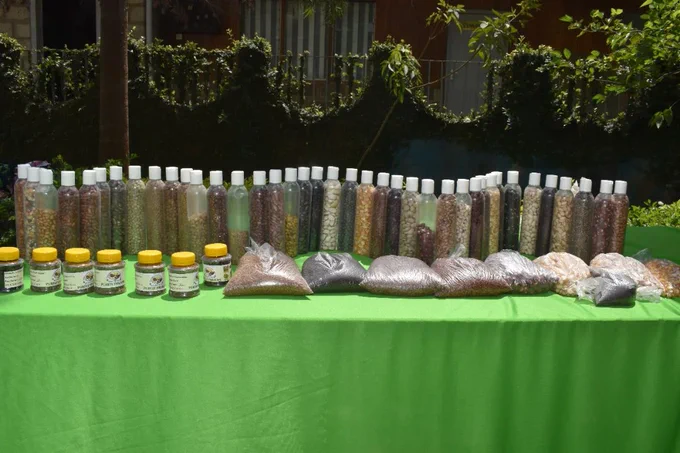 A table with a large range of seeds. 