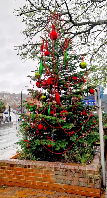 The 2025 Forest Hill Christmas tree, decorated and ready for the Christmas Lights to be switched on