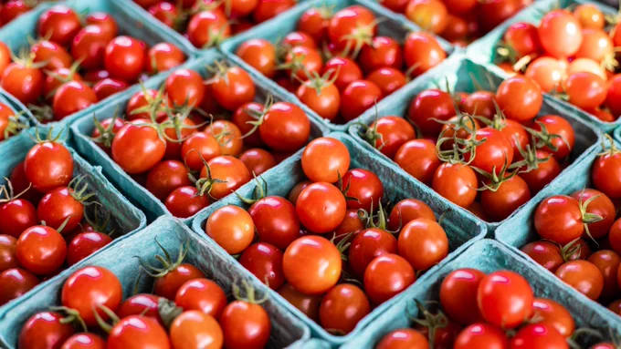 A close-up view of fresh red tomatoes arranged in blue baskets.