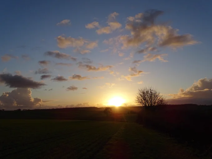 The sun setting over fields