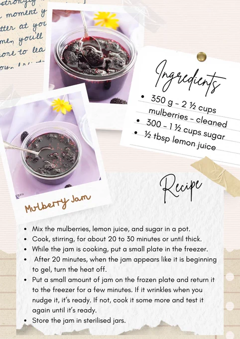 Designed recipe card showing mulberry jam images and instructions.