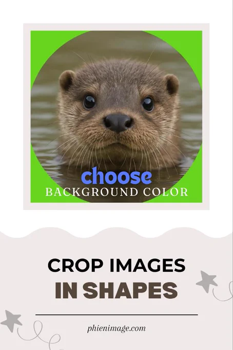 A cute baby sea otter 🦦