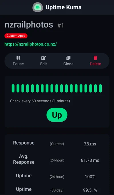 A screenshot of Uptime Kuma showing 100% uptime in the last 24 hours for nzrailphotos