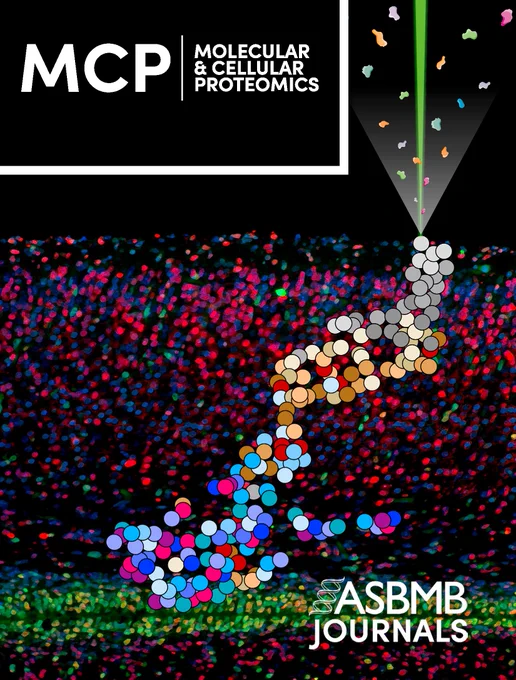 This is an immunofluorescent image of the cerebral cortex, showing the progenitor marker SOX2 and the mature neuron marker NEUN. The image illustrates the process by which the nanosecond infrared laser ablates the brain tissue and dissolves the proteins into an aerosol. Each sample has a unique protein composition projected as dots in a UMAP. By Jelena Navolic and Julia Neumann.