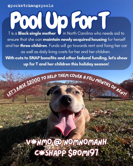 Photo of dog, Wobbles smiling on a field. White texts overlays. 
Text reads: 
Pool up for T!
T is a Black single mother in North Carolina who needs aid to ensure that she can maintain newly acquired housing for herself and her three children. Funds will go towards rent and fixing her car as well as daily living costs for her and her children. With cuts to SNAP benefits and other federal funding, let's show up for T and her children this holiday season!

Let's raise $2000 to help them cover a few months of rent!

V*nmo @ nomnomanh
C*shapp $bomi97