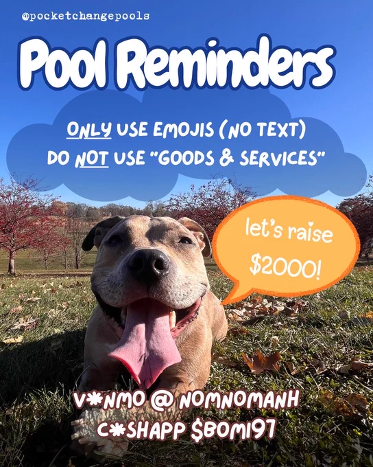 Photo of dog, Wobbles smiling on a field. White texts overlays. 
Text reads:
Pool up for T!

Pool reminders:

ONLY use emojis (no text)
Do NOT use "goods & services"

Let's raise $2000!

V*nmo @ nomnomanh
C*shapp $bomi97