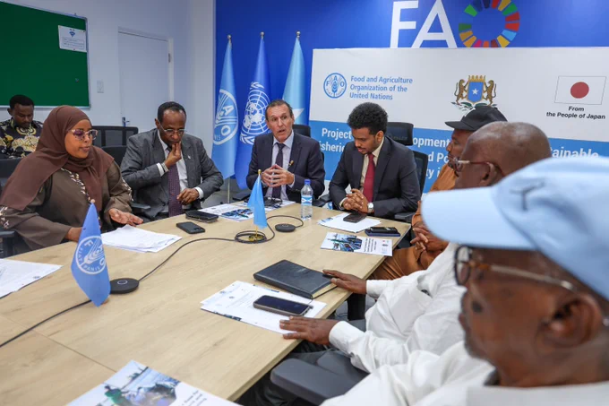 The launch on Friday in the FAO office