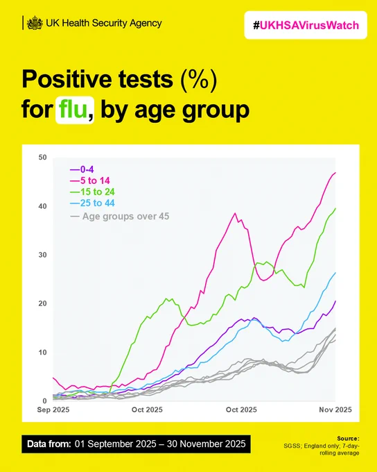 Graph showing positive tests for flu by age group