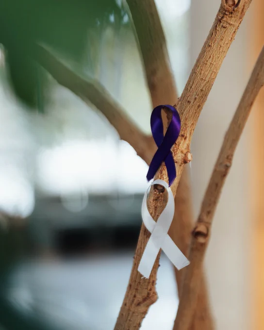 A purple ribbon and a white ribbon tied around a tree branch, symbolizing awareness for specific causes.
