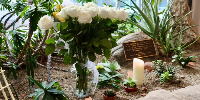A memorial display featuring a bouquet of white roses in a glass vase, surrounded by small plants and succulents with a commemorative plaque and a lit candle, positioned indoors near a window.