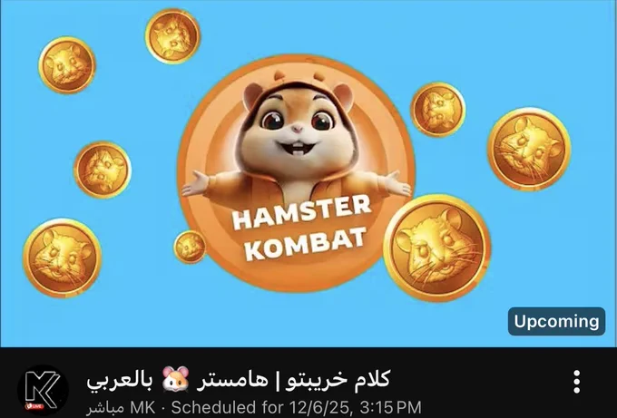 هامستر 🐹 بالعربي