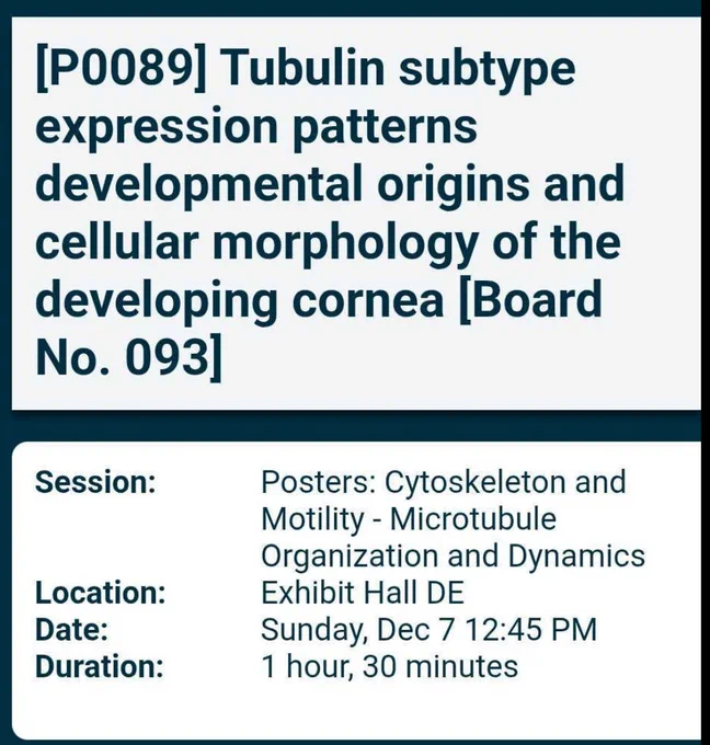 Poster information at CellBio 2025: Tubulin subtype expression patterns developmental origins and cell morphology of the developing cornea. 
Regular poster Sun 7th Dec: 12.45-2.15pm 
iPoster Tue 9th Dec: 12.45-2.15pm
