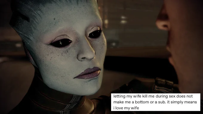An image of Shepard and Morinth. The text reads 'letting my wife kill me during sex does not make me a bottom or a sub. It simply means I love my wife'.