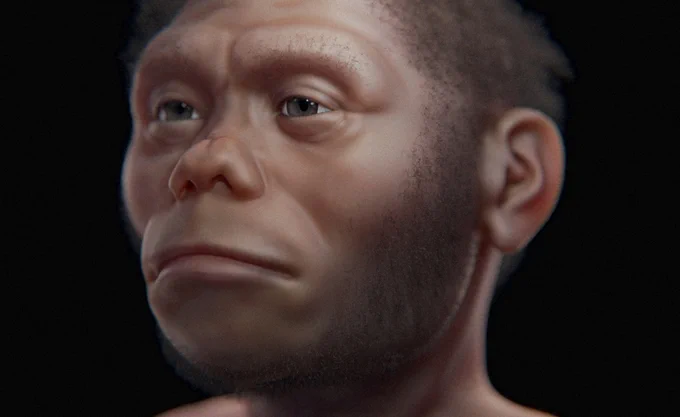 A 3D-rendered image of a Neanderthal figure. The figure has a pronounced brow ridge, wide nose, and full lips, with a focused expression. Sparse facial hair and textured skin are visible, set against a dark background.