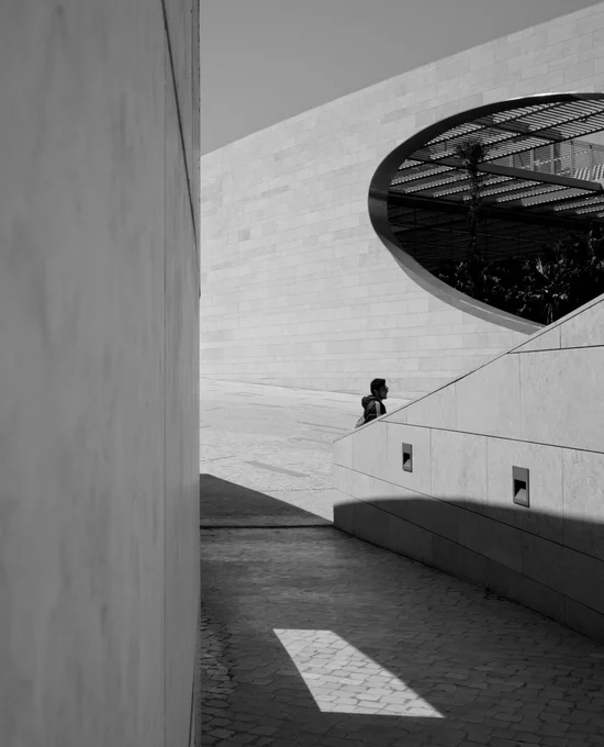 Mono PDI - Disorder in Geometry by Zahyr Caan