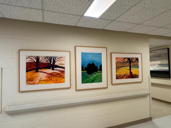 A bright hallway at Orillia Soldiers' Memorial Hospital (OSMH) is transformed by (left to right) Maples, Terrain #4 and Black Ash, a trio of 1997 works by Christina Luck