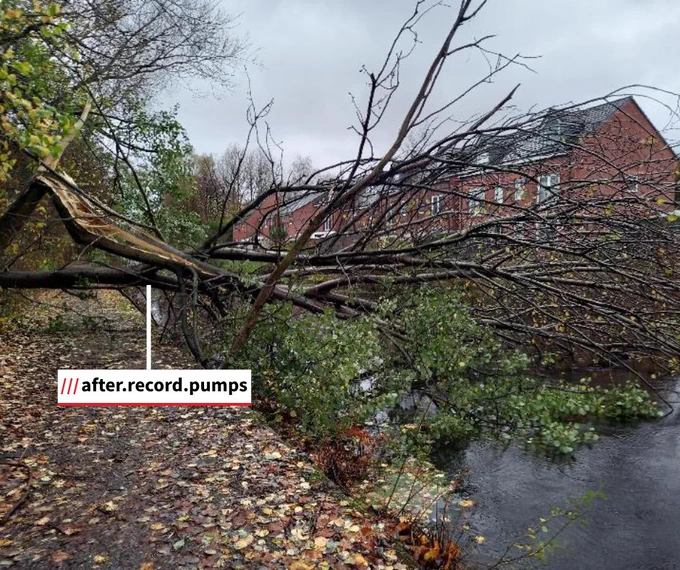 A large fallen tree blocks the canal and towpath after a storm. A white box reads '///after.record.pumps', an indicator of the tree's location using what3words.com software