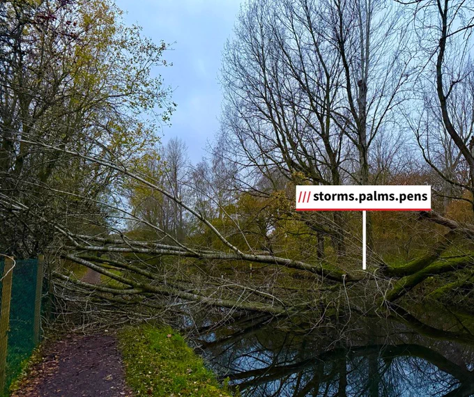 A large fallen tree blocks the canal and towpath after a storm. A white box reads '///storms.palms.pens', an indicator of the tree's location using what3words.com software