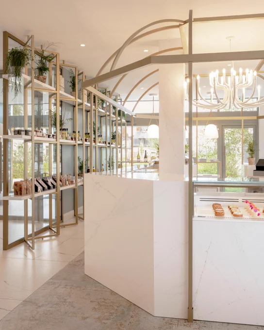 Interior of a pastry shop featuring a white counter with pastries displayed in a glass case, decorative shelves holding plants, and various items, all under a modern chandelier lighting the elegant space.