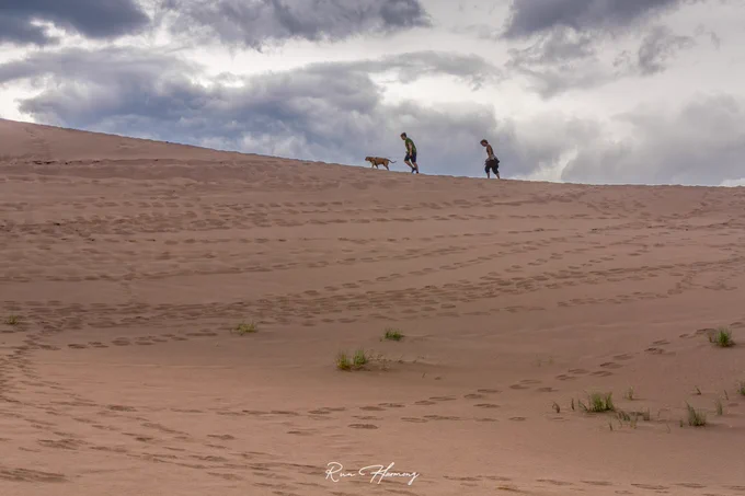 Warm winds sweep across the Colorado Sand Dunes as two hikers and their dog trace a slow, determined path along the ridge, their figures small against the vastness of rising sand and brooding sky. Soft footprints scatter across the landscape like fading memories, each step shaping and reshaping the dune beneath them. The clouds above deepen into dramatic grays, making the sunlit sand glow even more, turning the scene into a meeting of two elemental worlds — restless sky and ever-shifting earth. The moment feels adventurous and raw, capturing the quiet bond between people, their companion, and the wild open space surrounding them.