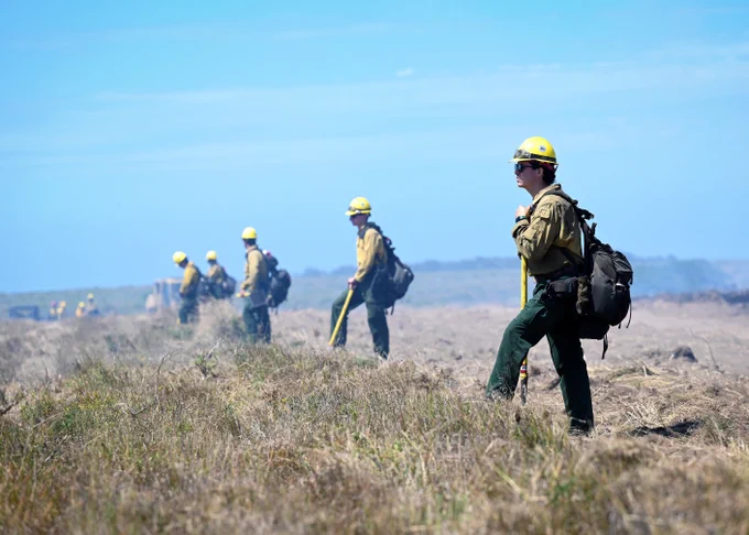 Wildland firefighters in yellow helmets and protective gear monitor a dry grassy field under a clear blue sky.
