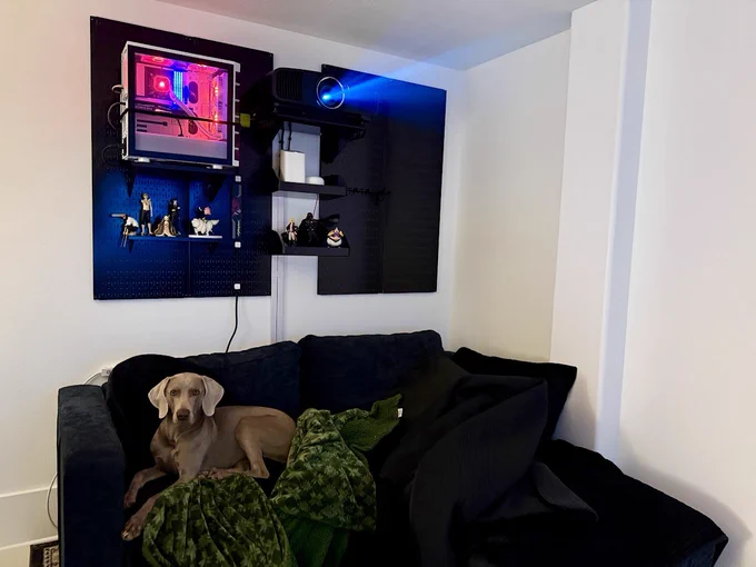 A cozy entertainment corner with a blue couch, a dog resting on a green blanket, and a Wall Control metal pegboard system mounted above. The pegboard displays a gaming PC with colorful RGB lighting, a projector, and collectible figures on small display shelves.